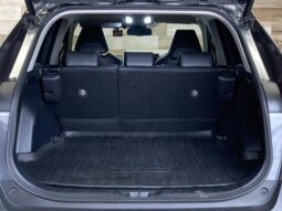 
										TOYOTA RAV4 2019 full									