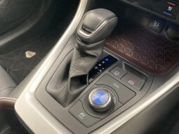 
										TOYOTA RAV4 2021 full									