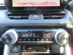 
										TOYOTA RAV4 2022 full									