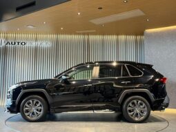 
										TOYOTA RAV4 2024 full									