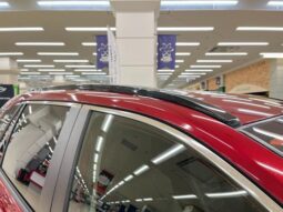 
										TOYOTA RAV4 2021 full									