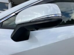 
										TOYOTA RAV4 2024 full									