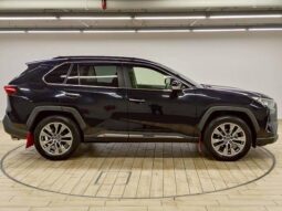 
										TOYOTA RAV4 2019 full									