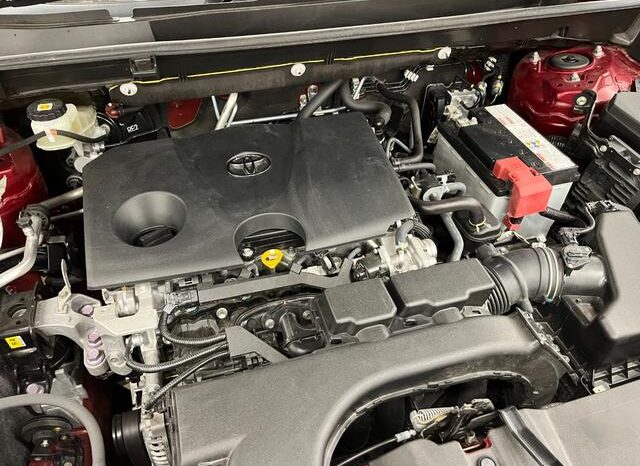 
								TOYOTA RAV4 2021 full									