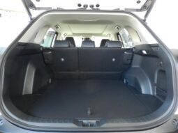 
										TOYOTA RAV4 2025 full									