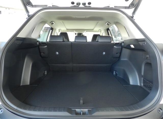 
								TOYOTA RAV4 2025 full									