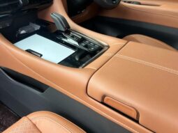 
										TOYOTA VELLFIRE 2023 full									