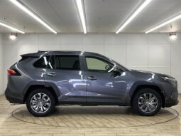 TOYOTA RAV4 2021