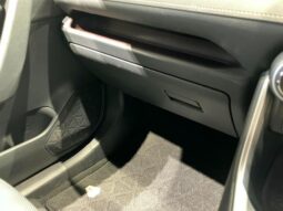 
										TOYOTA RAV4 2021 full									