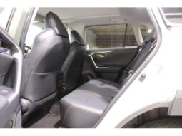 
										TOYOTA RAV4 2022 full									