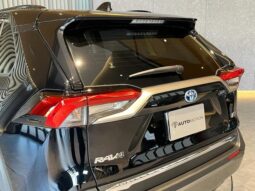 
										TOYOTA RAV4 2024 full									