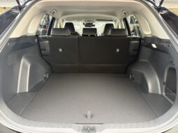 
										TOYOTA RAV4 2025 full									