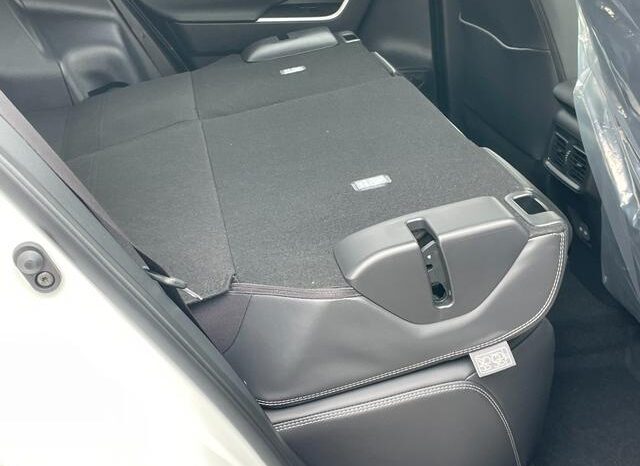 
								TOYOTA RAV4 2025 full									