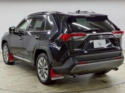 
										TOYOTA RAV4 2019 full									