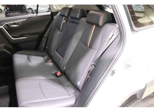 
								TOYOTA RAV4 2022 full									