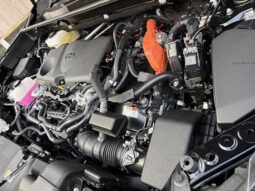 
										TOYOTA RAV4 2025 full									