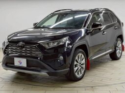 TOYOTA RAV4 2019