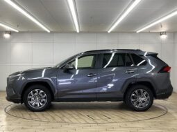 
										TOYOTA RAV4 2021 full									
