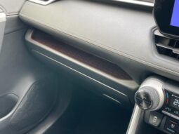 
										TOYOTA RAV4 2025 full									