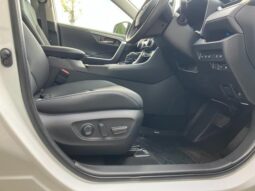 
										TOYOTA RAV4 2024 full									