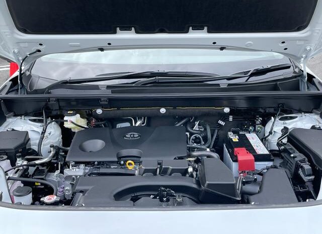 
								TOYOTA RAV4 2025 full									