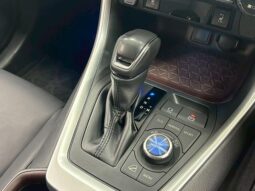 
										TOYOTA RAV4 2019 full									