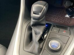 
										TOYOTA RAV4 2019 full									