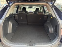 
										TOYOTA RAV4 2019 full									