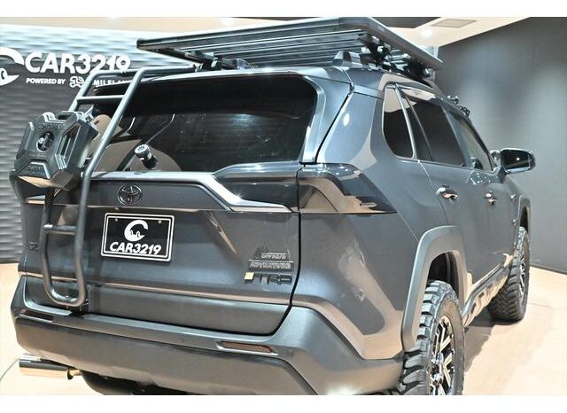 
								TOYOTA RAV4 2023 full									