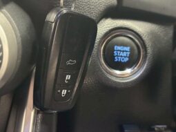 
										TOYOTA RAV4 2019 full									