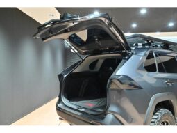 
										TOYOTA RAV4 2023 full									