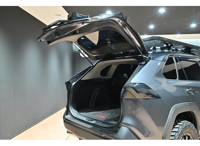 
								TOYOTA RAV4 2023 full									