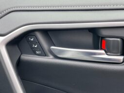 
										TOYOTA RAV4 2025 full									