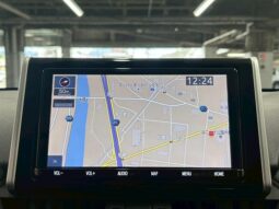 
										TOYOTA RAV4 2019 full									