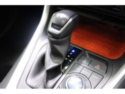 
										TOYOTA RAV4 2022 full									