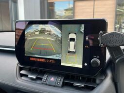 
										TOYOTA RAV4 2024 full									