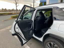 
										TOYOTA RAV4 2024 full									