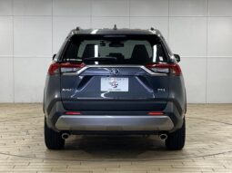 
										TOYOTA RAV4 2021 full									