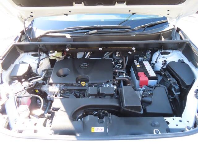 
								TOYOTA RAV4 2022 full									