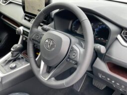 
										TOYOTA RAV4 2025 full									