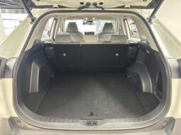 
										TOYOTA RAV4 2021 full									