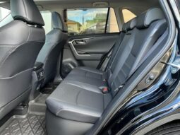 
										TOYOTA RAV4 2024 full									