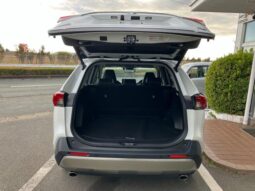 
										TOYOTA RAV4 2024 full									