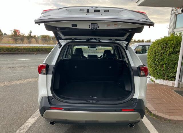 
								TOYOTA RAV4 2024 full									