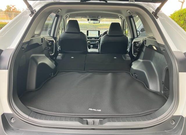 
								TOYOTA RAV4 2024 full									