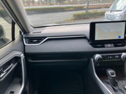 
										TOYOTA RAV4 2024 full									