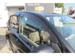 
										TOYOTA PASSO 2010 full									