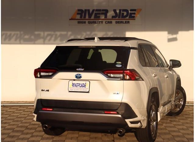 
								TOYOTA RAV4 2020 full									