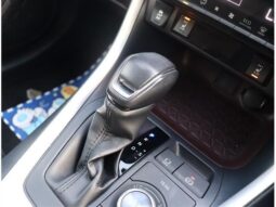 
										TOYOTA RAV4 2020 full									