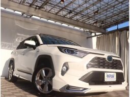 
										TOYOTA RAV4 2020 full									